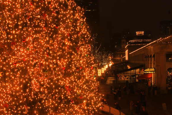 Boston Christmas Tree Faneuil Marketplace