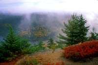 Acadia National Park Beech Cliffs Autumn Fog View