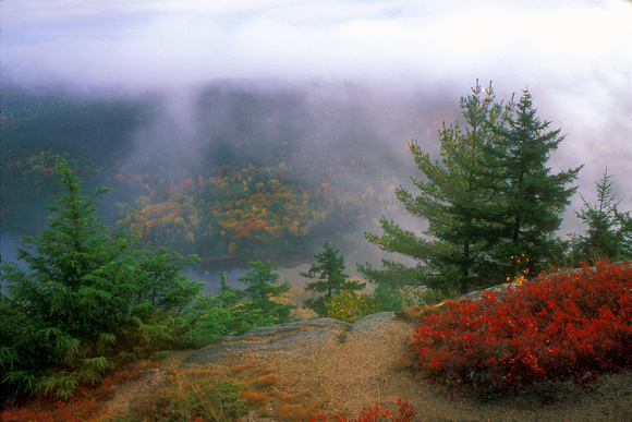 Acadia National Park Beech Cliffs Autumn Fog View