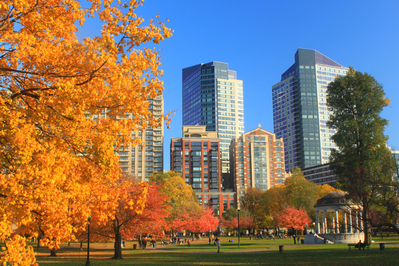 Boston Common in Autumn