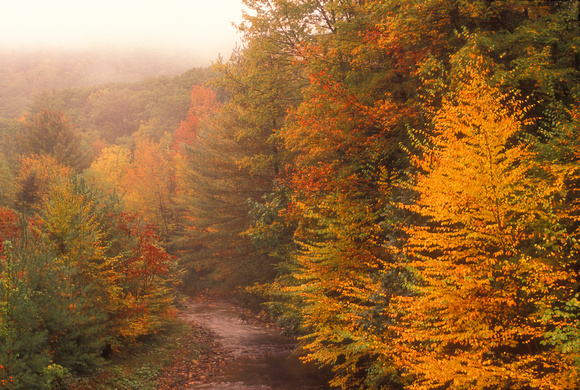 Berkshires Stream in Autumn