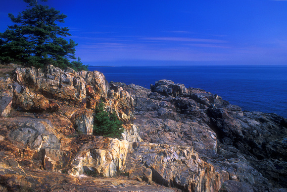 Acadia National Park Great Head