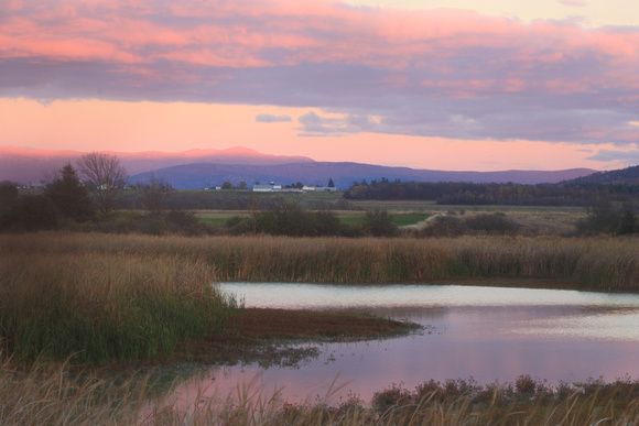 Dead Creek WMA Wetland and Green Mountains sunset