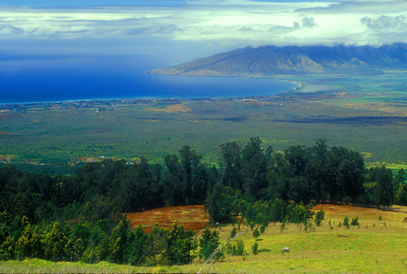 Maui Upcountry Wapoli Road Vista