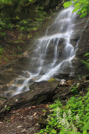 Mount Greylock March Cataract Falls Foamflowers