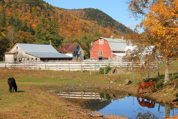 West River Valley Farm in Autumn