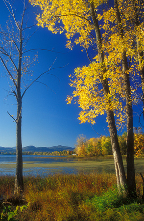 Lake Champlain McCuen Slang Wildlife Area