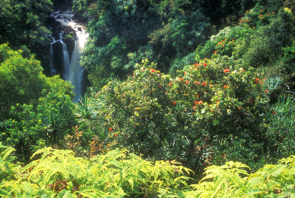 Rainforest and Falls Hana