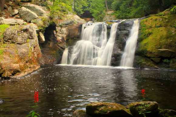 Doanes Falls and Cardinal Flowers