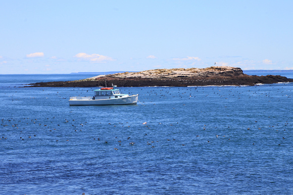 Machias Seal Island tourboat and islands