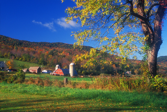 West Arlington Farm in Autumn