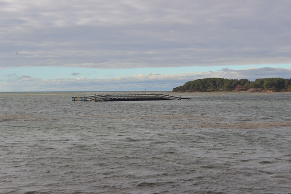 Wellfleet Lieutenant Island King Tide Nov2016