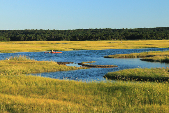 Sandwich Marshes and Kayak
