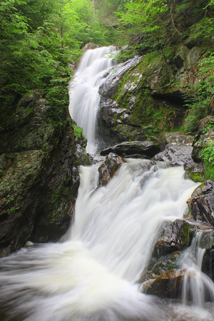 Campbell Falls high spring flow