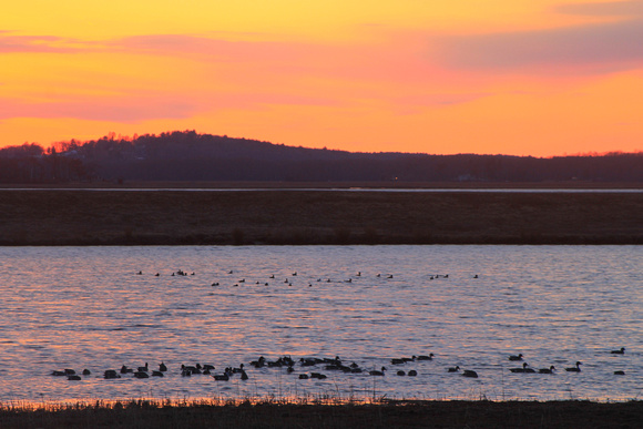 Parker River National Wildlife Refuge Waterfowl Sunset Marshes