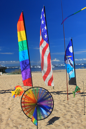 Kites on Beach