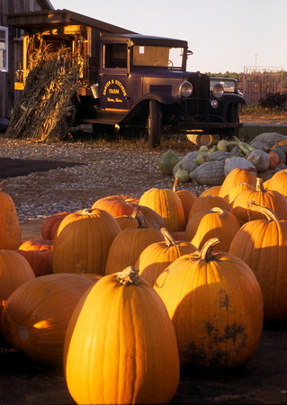 Carter Stevens Farm Truck and Pumpkins
