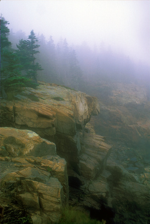 Acadia National Park Otter Cliffs in Fog