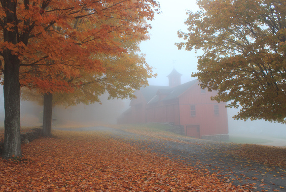 William Cullen Bryant Homestead Autumn Fog