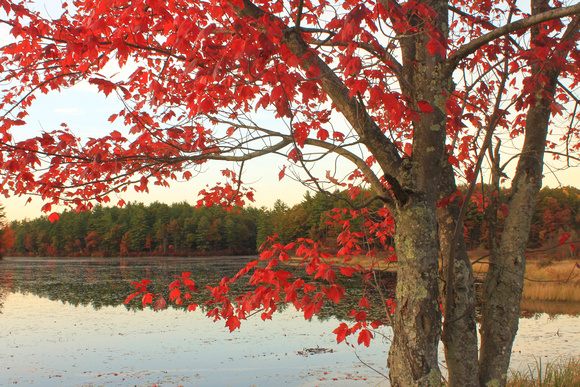 Lake Rohunta in Autumn