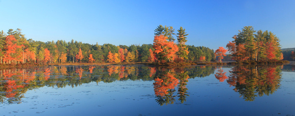 Harvard Pond Fall Foliage wide view