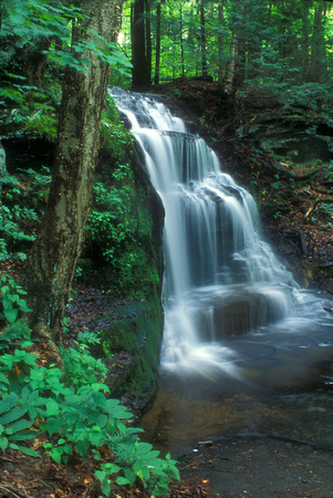 Gunn Brook Falls