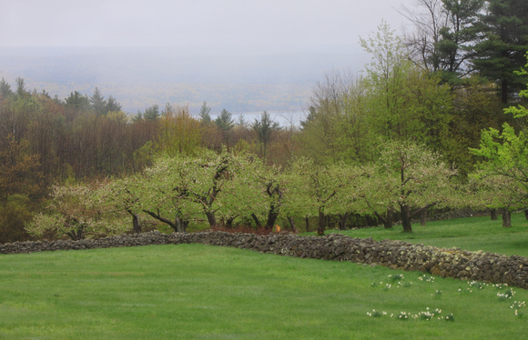 New Salem Orchard and Quabbin Reservoir