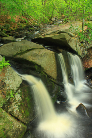 Willard Brook State Forest Trap Falls