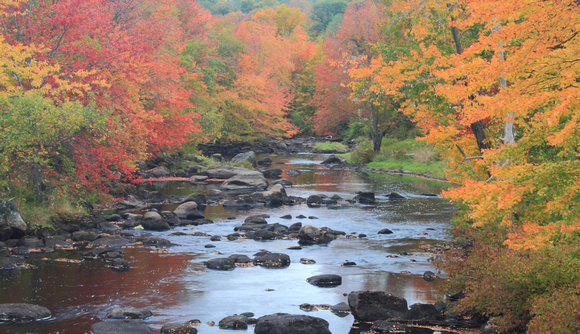 Millers River Fall Foliage South Royalston