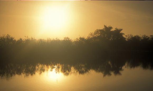 Everglades Slough Sunrise
