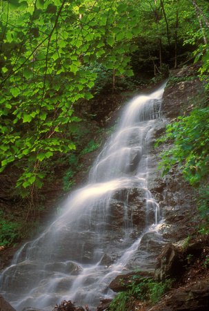 Mount Greylock March Cataract Falls
