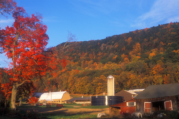 Mount Holyoke Farm and Foliage