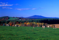 Templeton farm and Mount Monadnock view