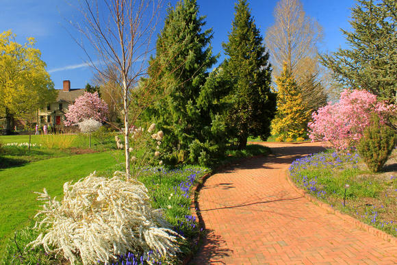 Tower Hill  Botanic Garden Path