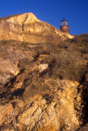 Aquinnah Cliffs and Lighthouse 2004